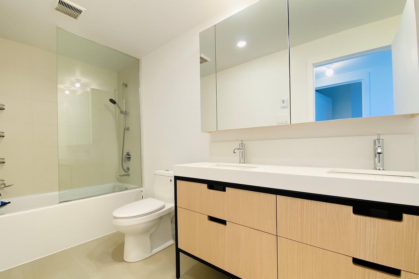 Bathroom - 1612-60 Rue De L'Éclipse, Brossard, QC - Indoor Photo Showing Bathroom