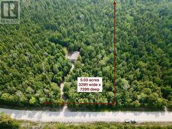 Located on paved road 15mins from Lions Head. -