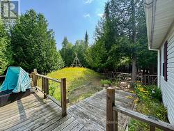 Septic bed with wild flowers. -