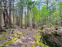 5 acres with trails throughout. -