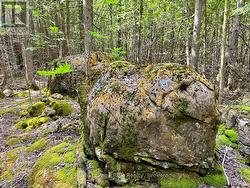 With stunning natural rockformations. -