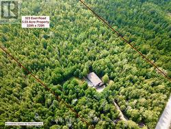 Or just wander your 5+acre private property. -