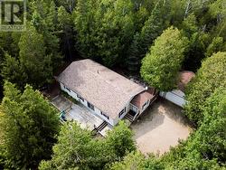 Right at home on the Bruce. -