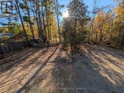 Half Acre treed backyard -