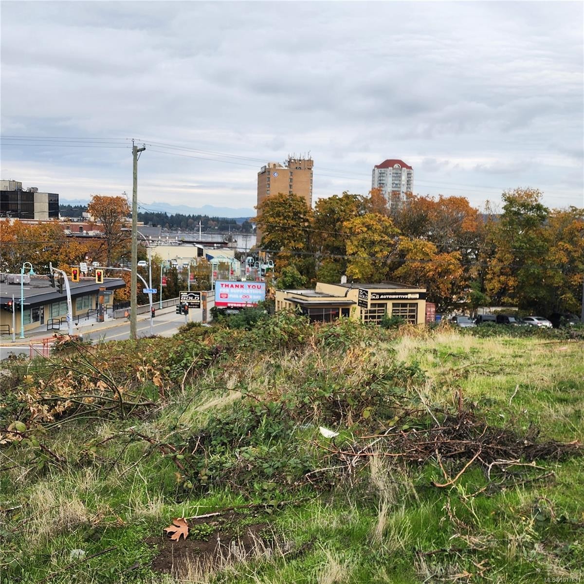 311 Wallace St, Nanaimo, BC