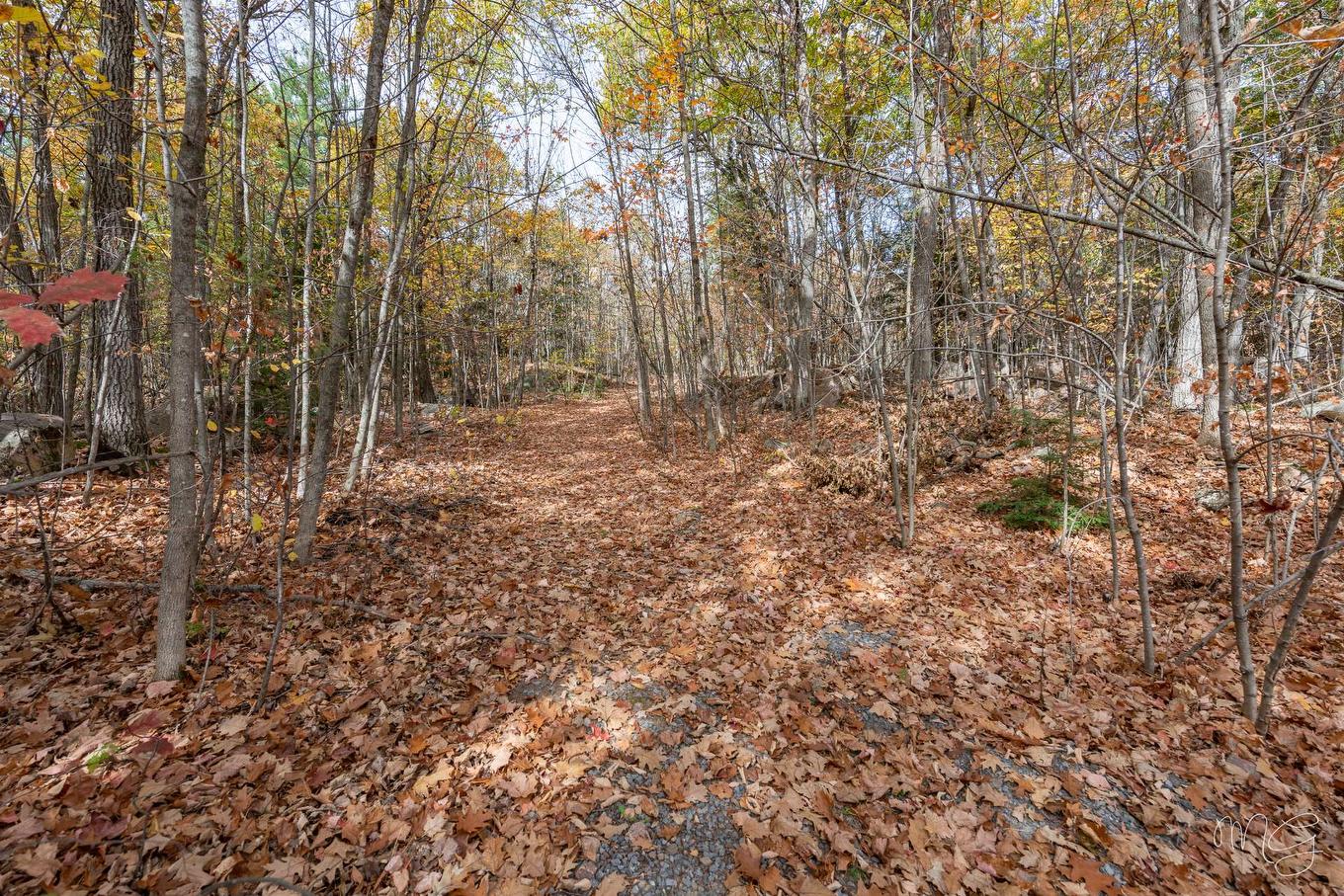 Cour - 11351 Ch. De La Rivière-Du-Nord, Mirabel, QC - Outdoor With View