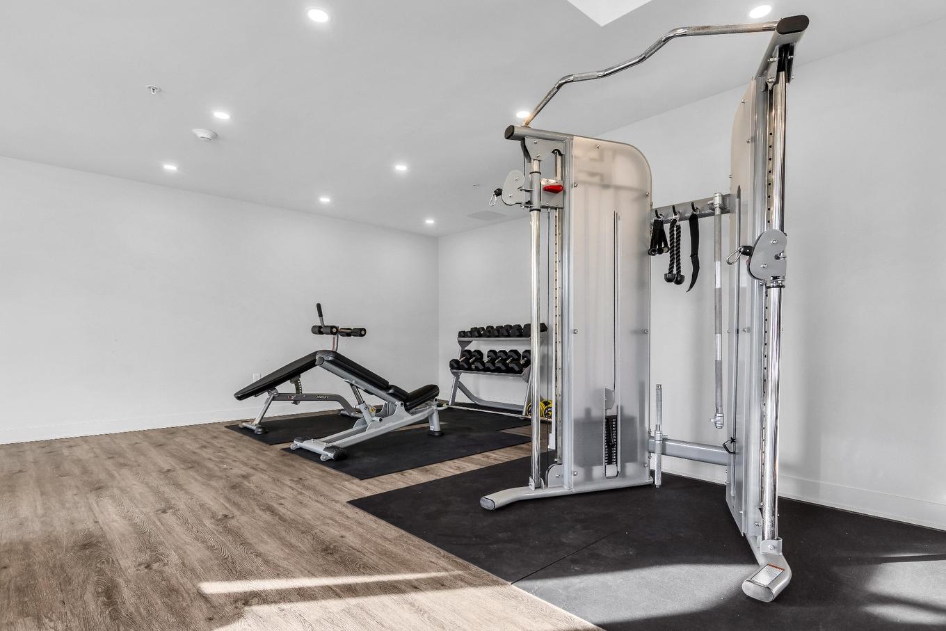 Salle d'exercice - 203-10120 Rue Lauraine-Vaillancourt, Montréal (Ahuntsic-Cartierville), QC - Indoor Photo Showing Gym Room