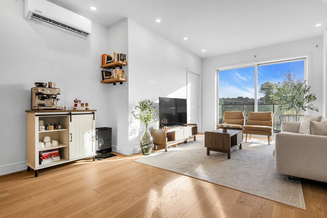 Salon - 203-10120 Rue Lauraine-Vaillancourt, Montréal (Ahuntsic-Cartierville), QC - Indoor Photo Showing Living Room