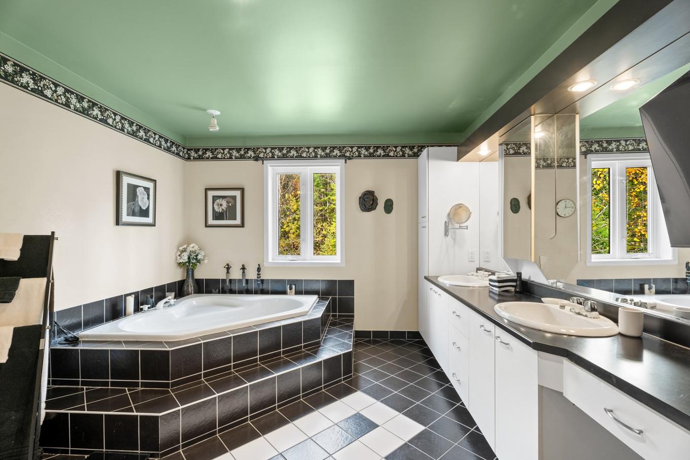 Salle de bains - 513 Rue Des Sous-Bois, Sainte-Agathe-Des-Monts, QC - Indoor Photo Showing Bathroom