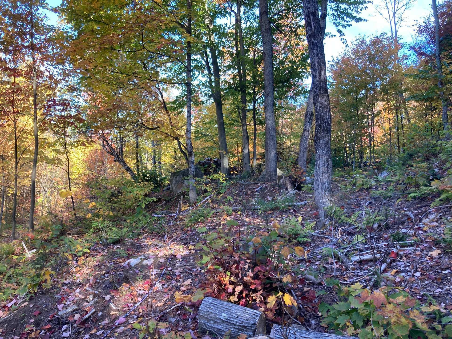 Terre/Terrain - Ch. De L'Orignal, Sainte-Thècle, QC