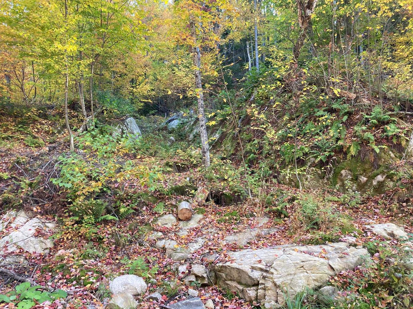 Land/Lot - Ch. De L'Orignal, Sainte-Thècle, QC
