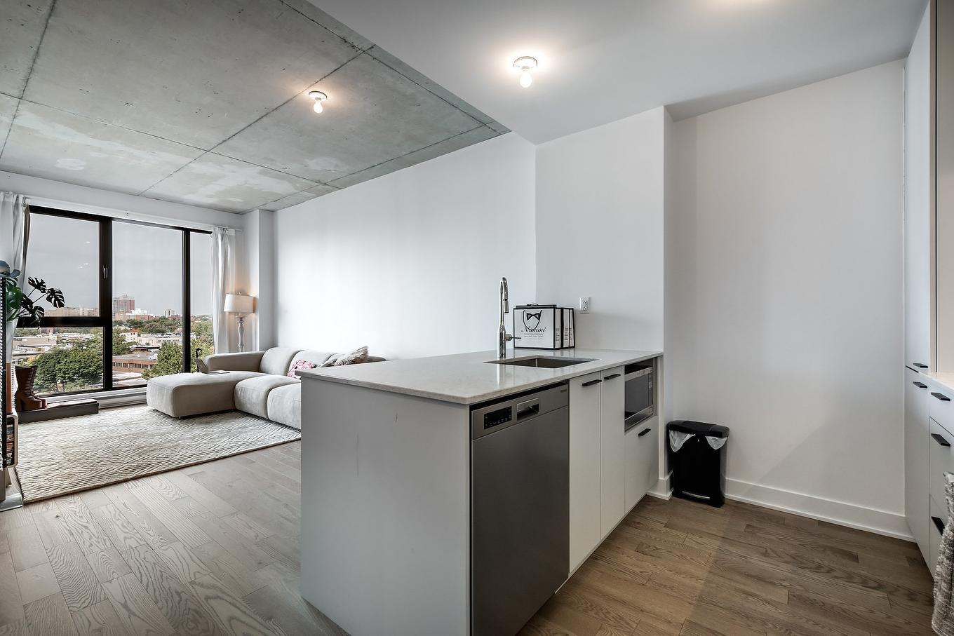 Kitchen - 1117-1150 Boul. René-Lévesque E., Montréal (Ville-Marie), QC - Indoor Photo Showing Kitchen