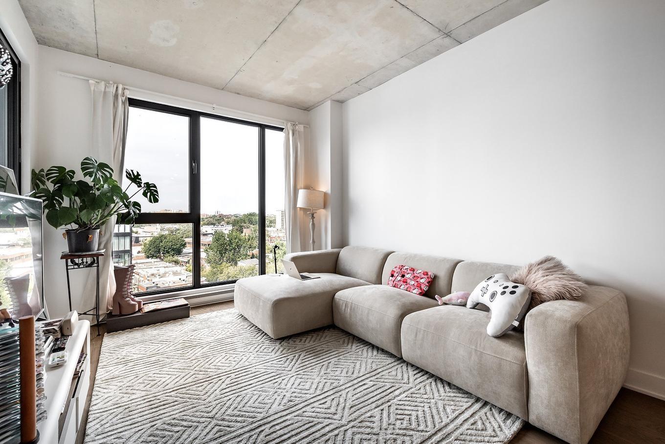 Living room - 1117-1150 Boul. René-Lévesque E., Montréal (Ville-Marie), QC - Indoor Photo Showing Living Room