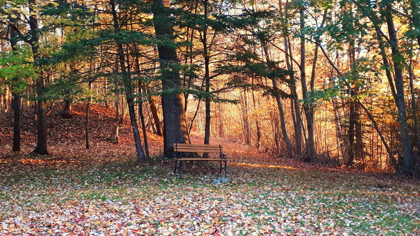 33 Kirk Road, Middle Stewiacke, NS