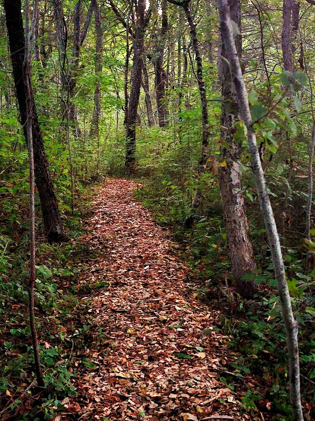 33 Kirk Road, Middle Stewiacke, NS