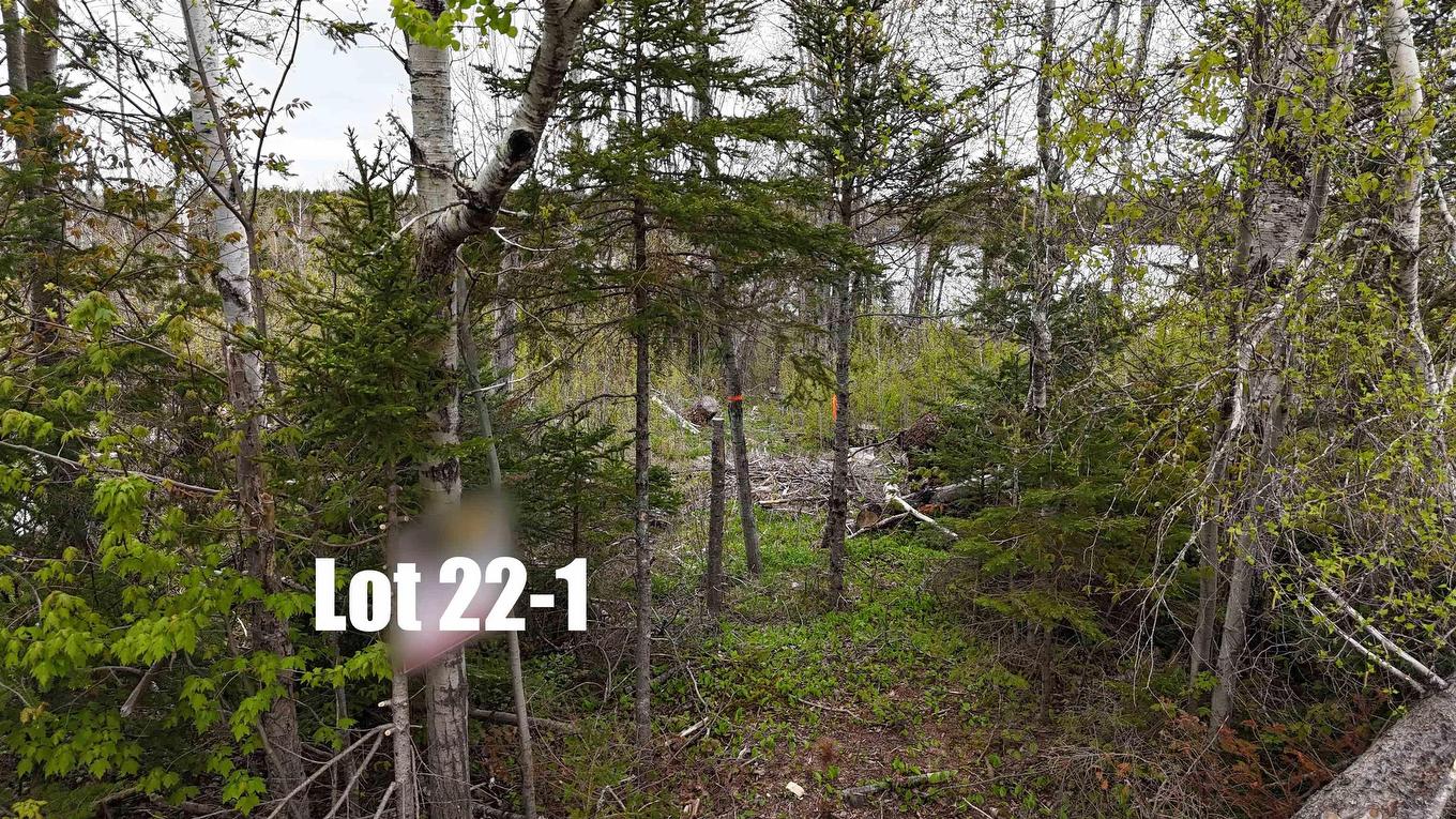 Lot 22-1 Lake Road, Mattatall Lake, NS