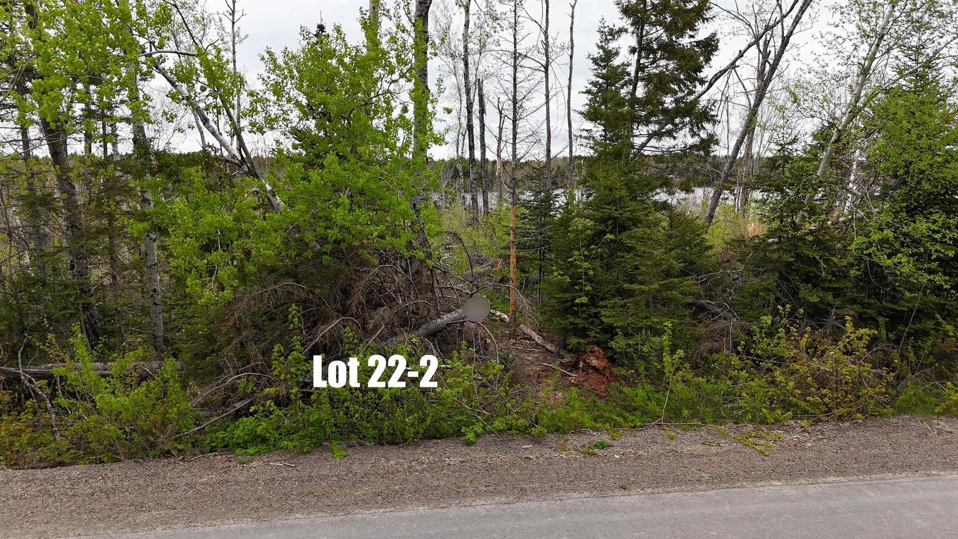 Lot 22-2 Lake Road, Mattatall Lake, NS