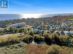 Surrounded by Nature -