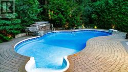 BACKYARD RAVINE VIEW -