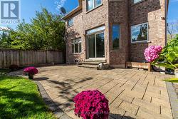 Incredible backyard -