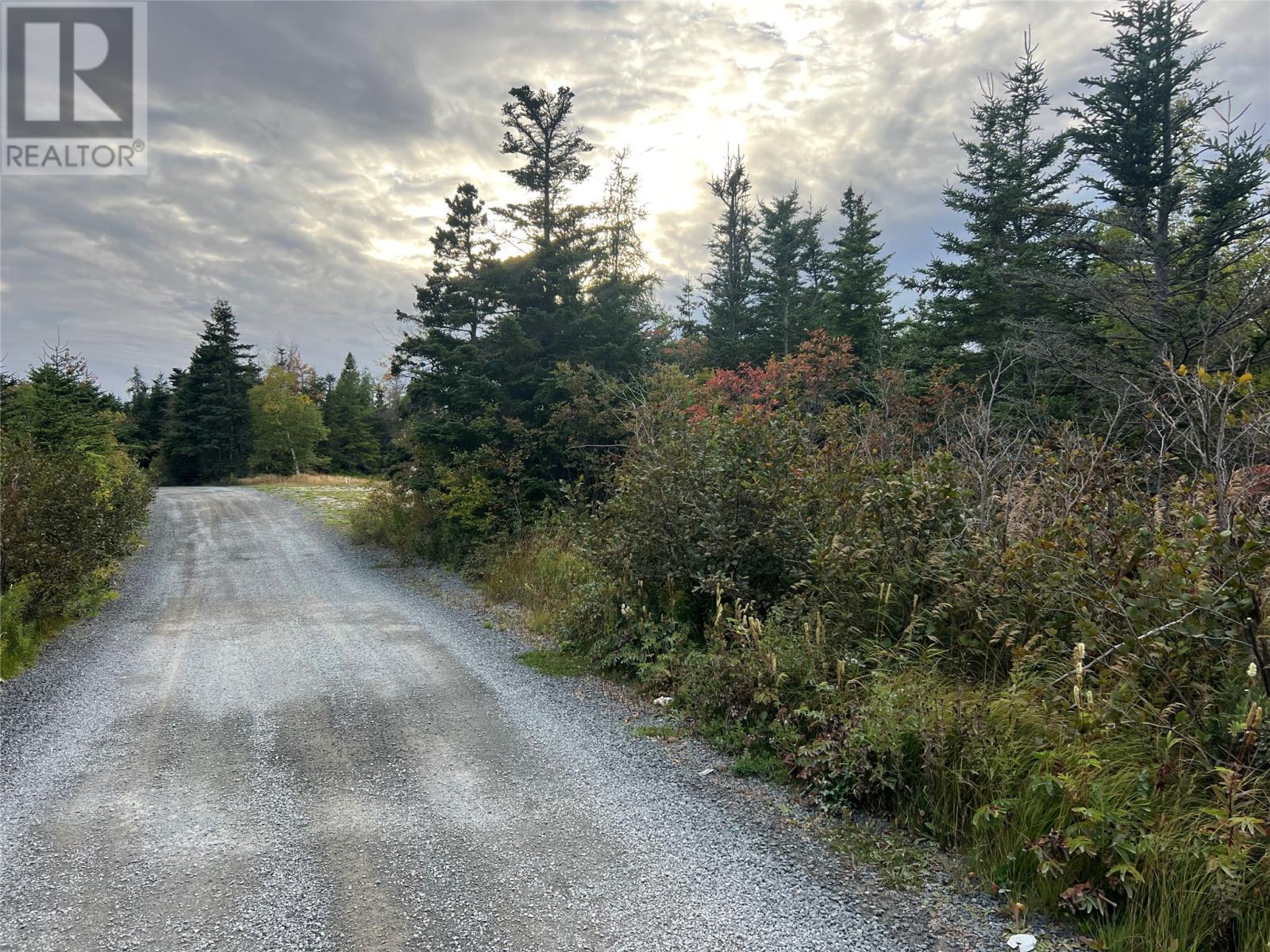 72 Gully Path, Harbour Grace, NL