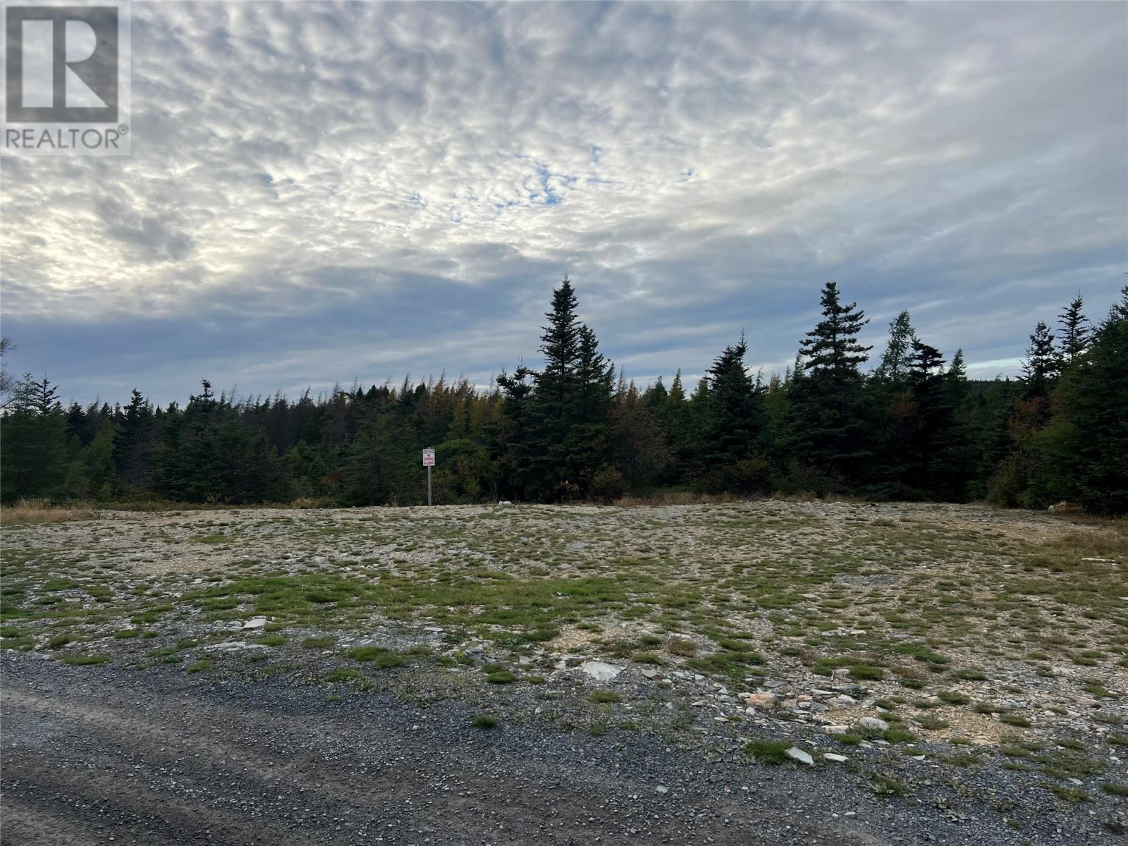 72 Gully Path, Harbour Grace, NL