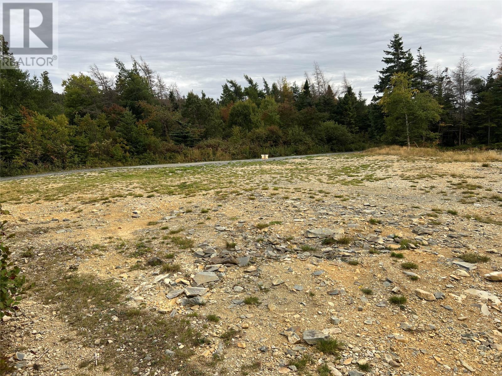 72 Gully Path, Harbour Grace, NL