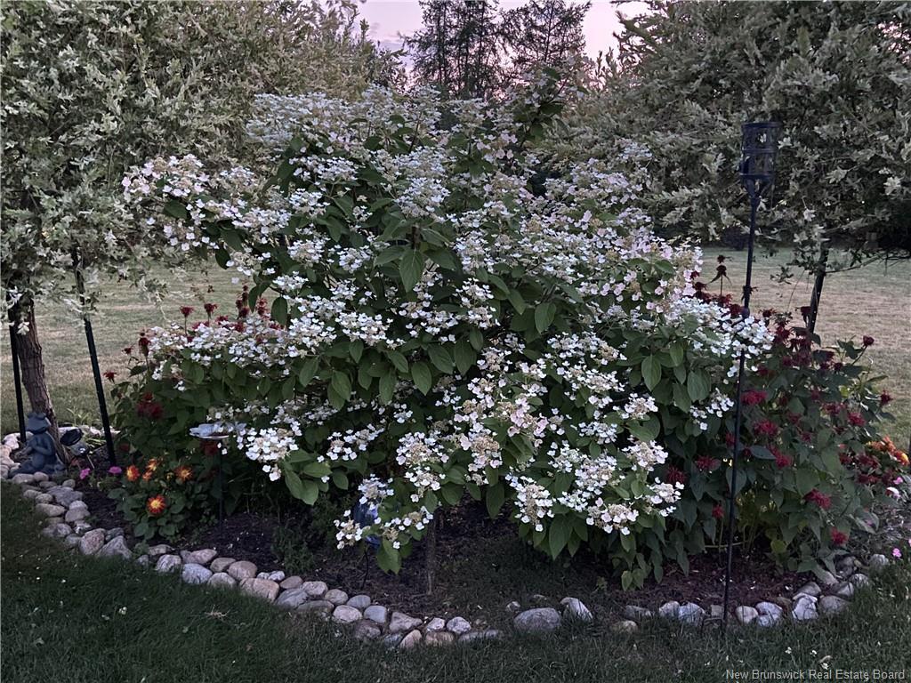 1314 Elmwood Dr, Moncton, NB