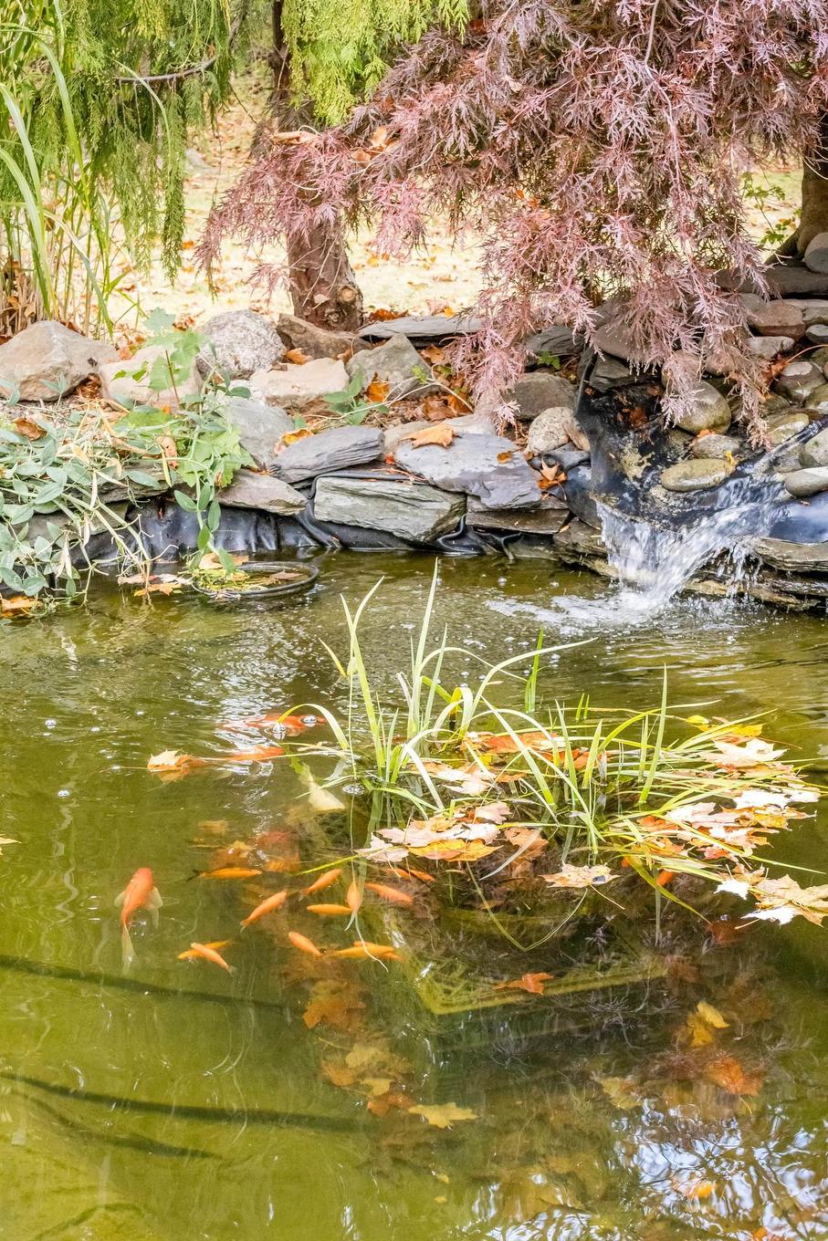 359 Granville Street E, Bridgetown, NS