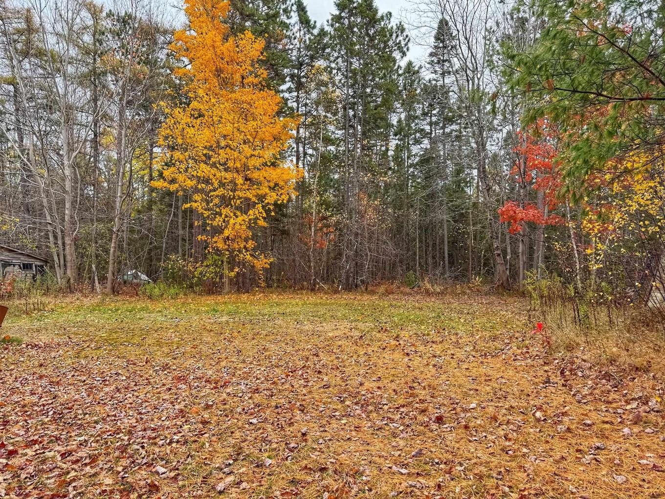 9932 Highway 201, South Farmington, NS