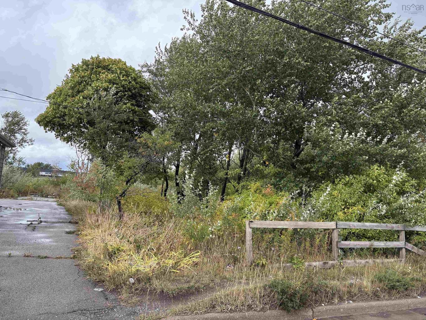 161 Welton Street, Sydney, NS