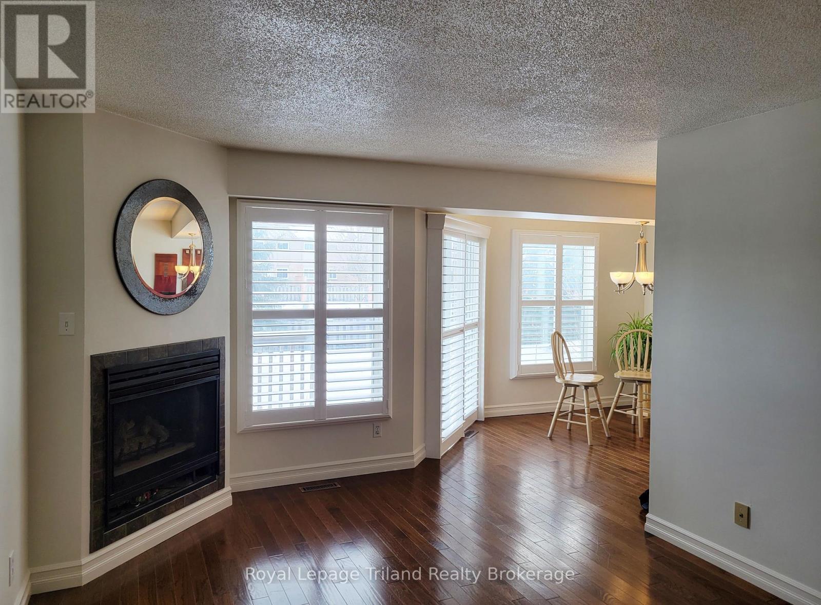 Unit 5 - 395 Springbank Avenue N, Woodstock (Woodstock - North), ON - Indoor Photo Showing Living Room With Fireplace