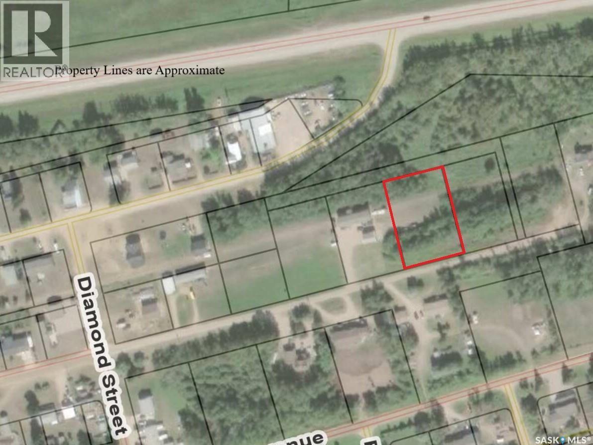 Lot 9 B Avenue, Shellbrook Rm No. 493, SK