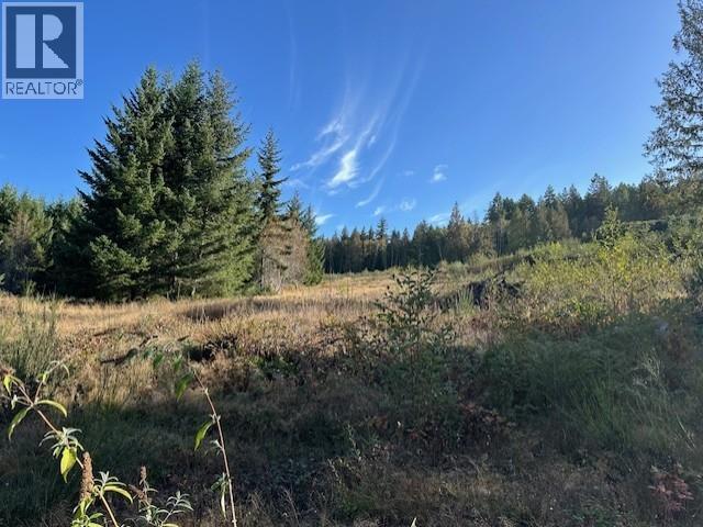 5628 Tanner Ave, Powell River, BC - Outdoor With View