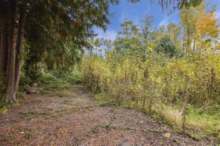 14409 115 Avenue, Surrey, BC