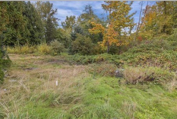 14409 115 Avenue, Surrey, BC