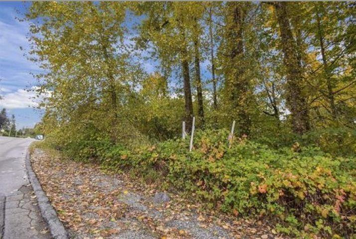 14409 115 Avenue, Surrey, BC