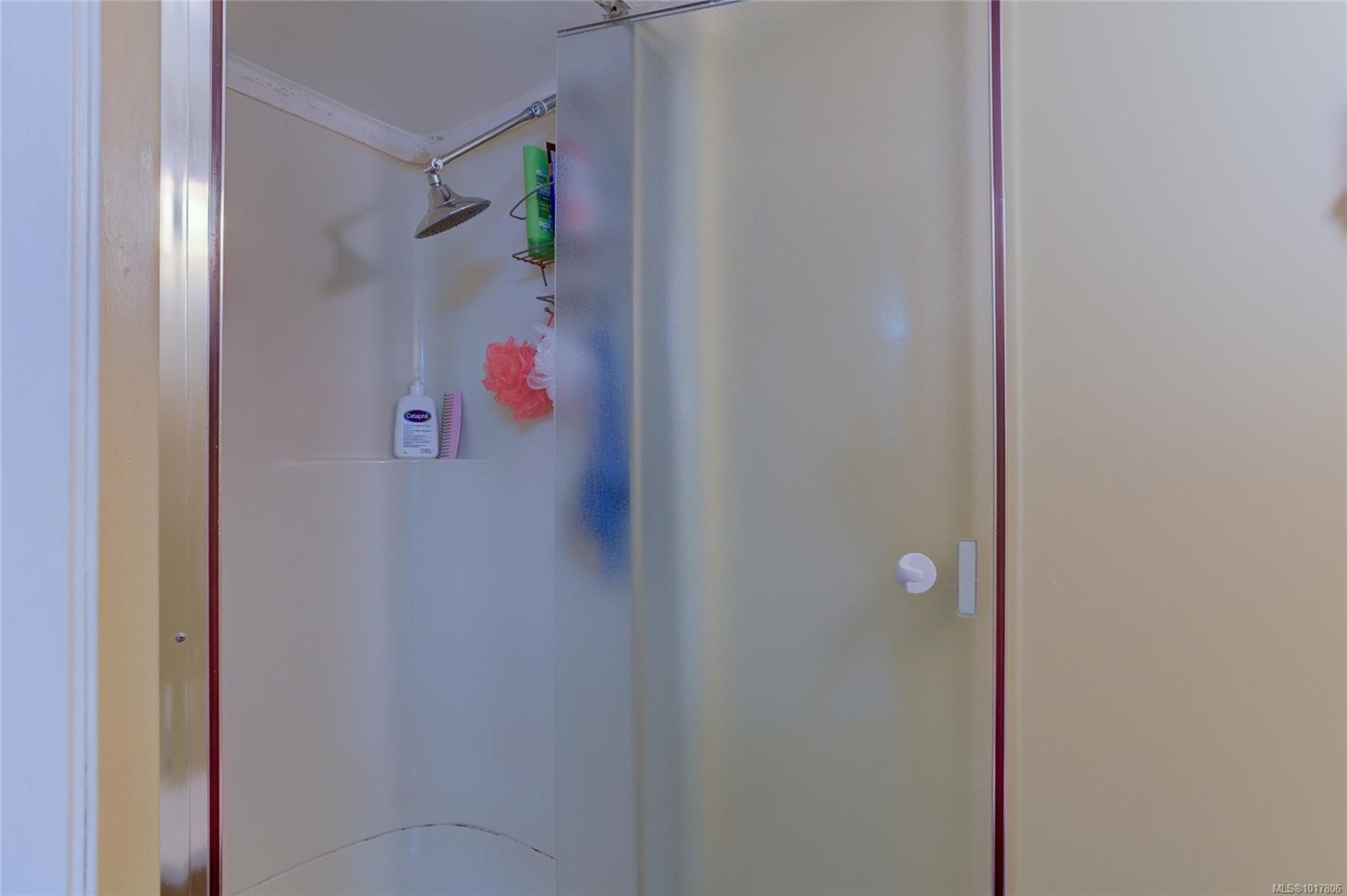 58 Pine St, Nanaimo, BC