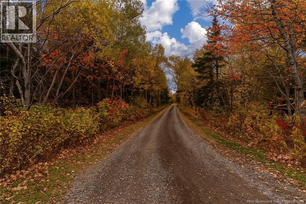 502 Hardwick Road, Hardwicke, NB - Outdoor With View