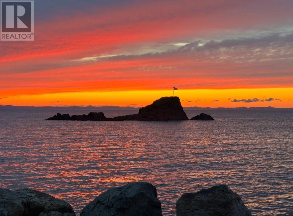 18 Lower Road, Hearts Delight-Islington, NL - Outdoor With Body Of Water With View