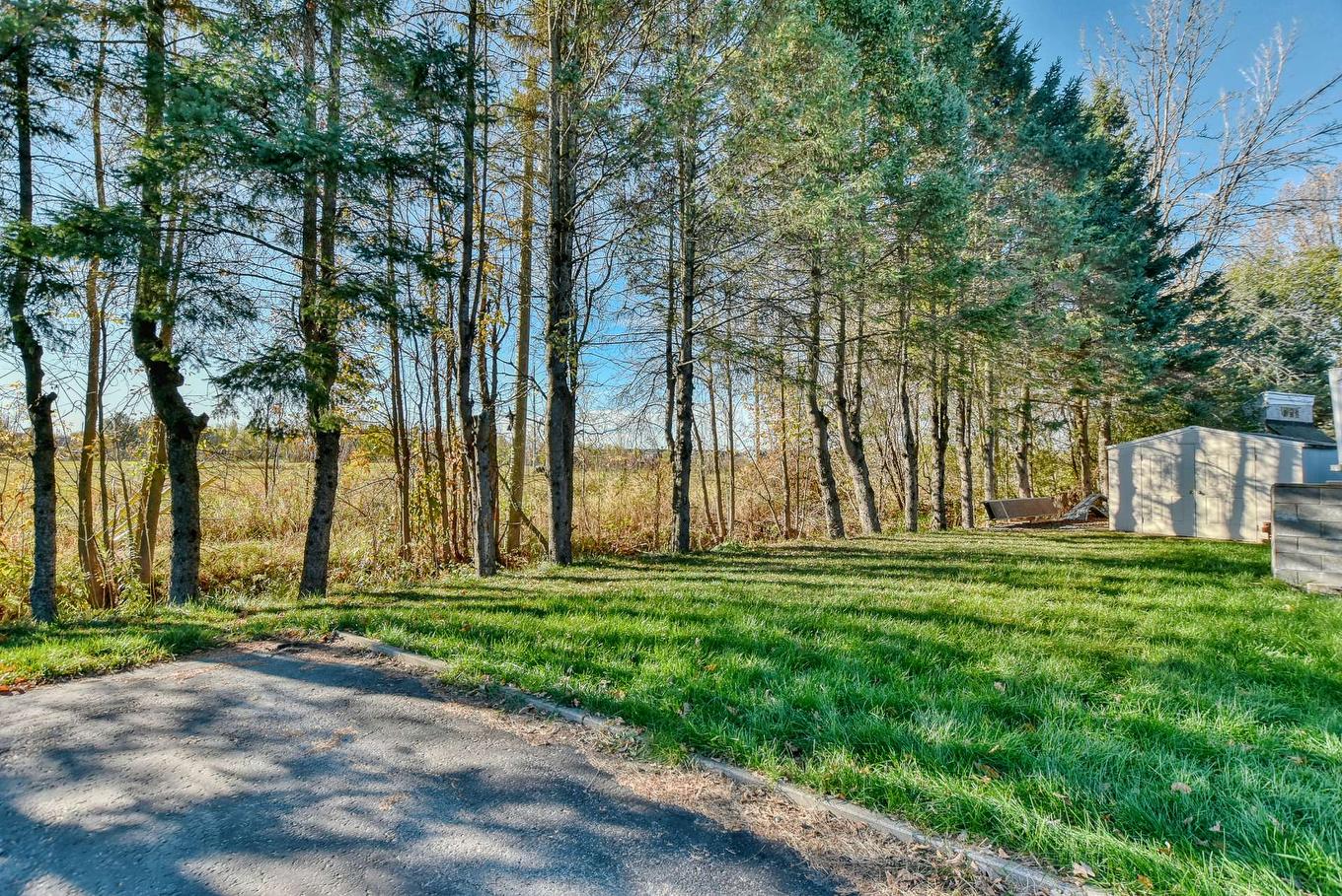 Stationnement - 344 Rue Mitchell, Lachute, QC - Outdoor With View