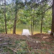 0 CONCESSION 3 ROAD Minden Hills (Minden), ON K0M 2L1