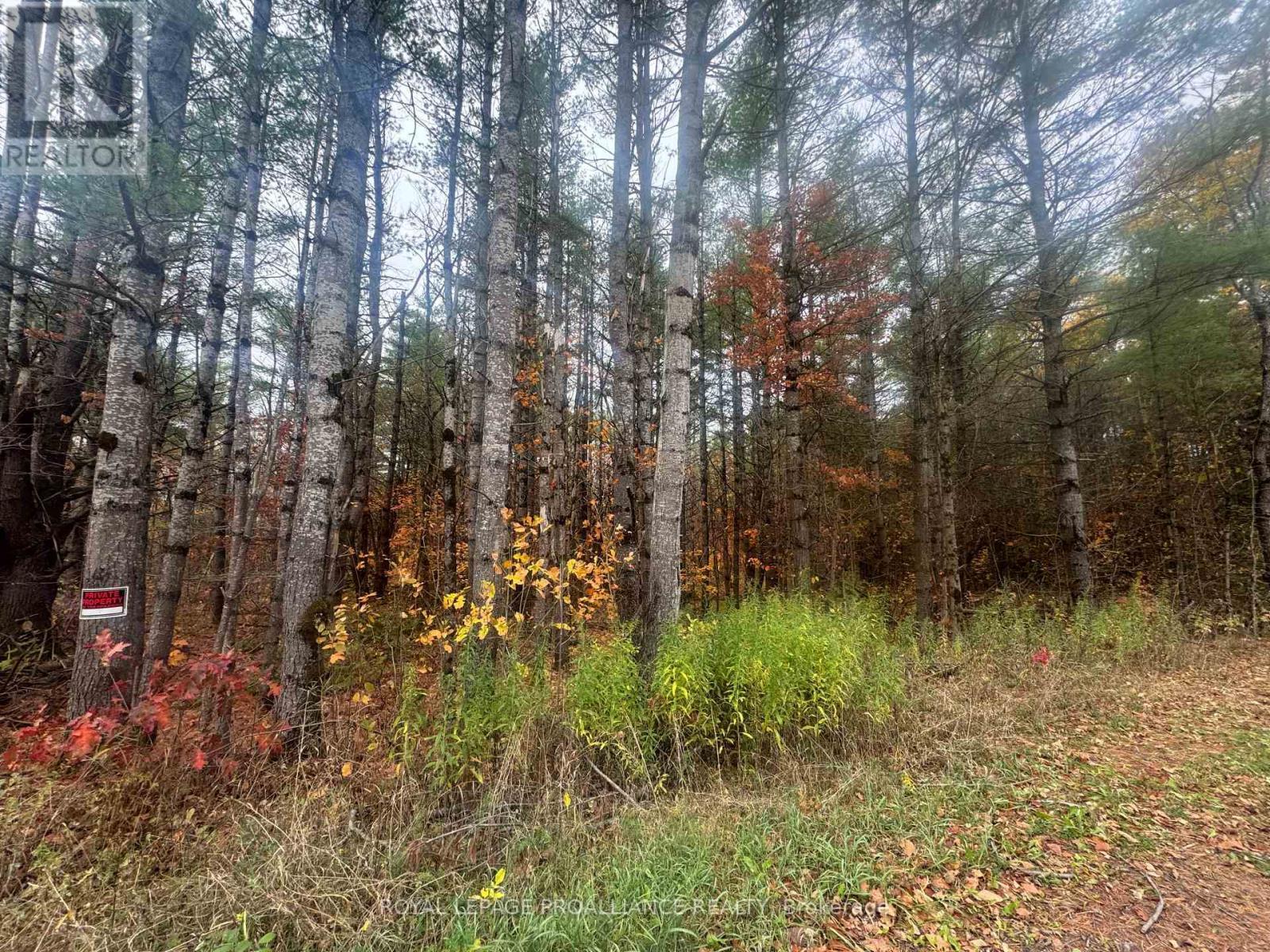 945 Shanick Road, Marmora And Lake (Marmora Ward), ON