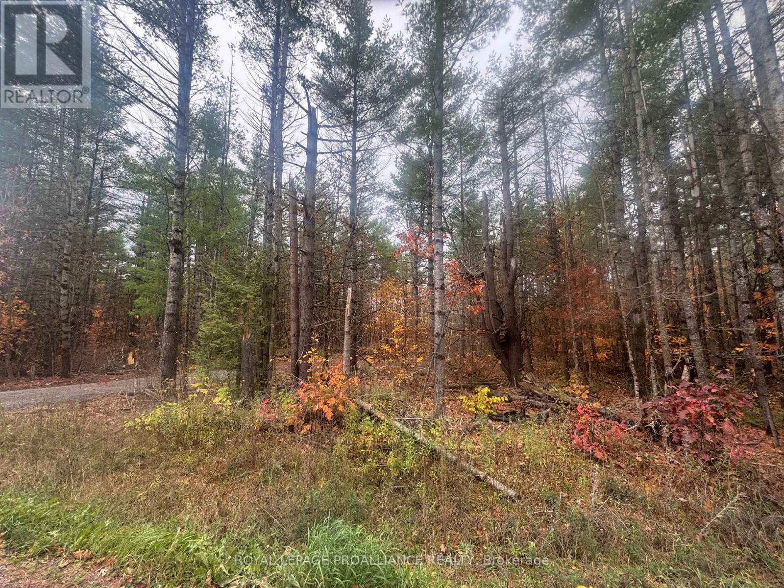 945 Shanick Road, Marmora And Lake (Marmora Ward), ON