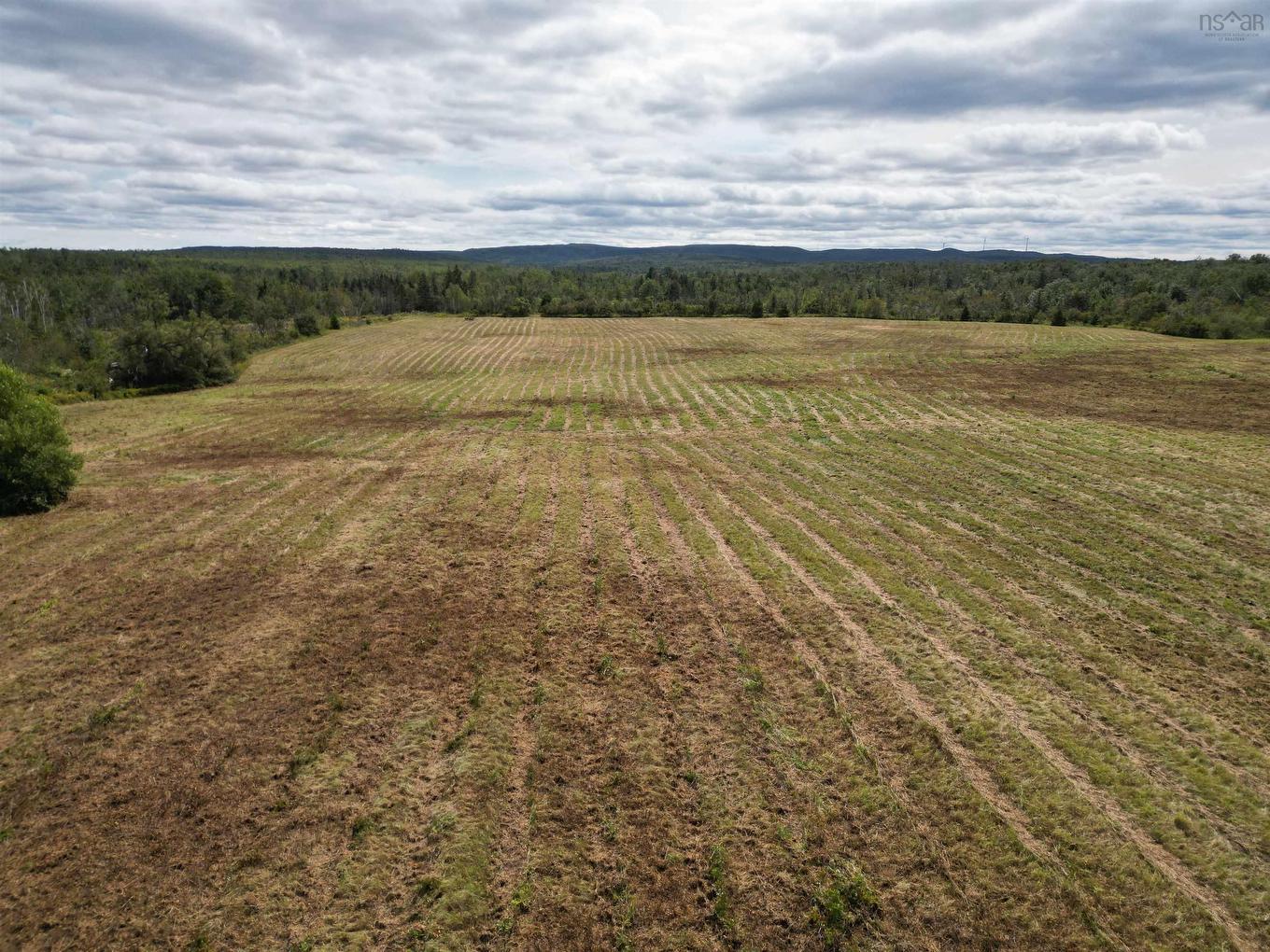 Land Shore Road, Lower Barneys River, NS