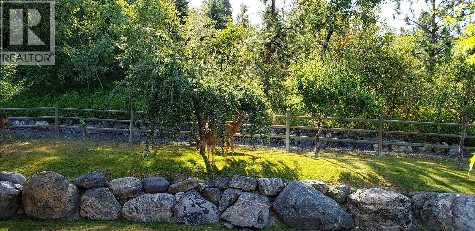 Side yard with Mini Organic Orchard - 5705 Upper Booth N Road, Kelowna, BC - Outdoor