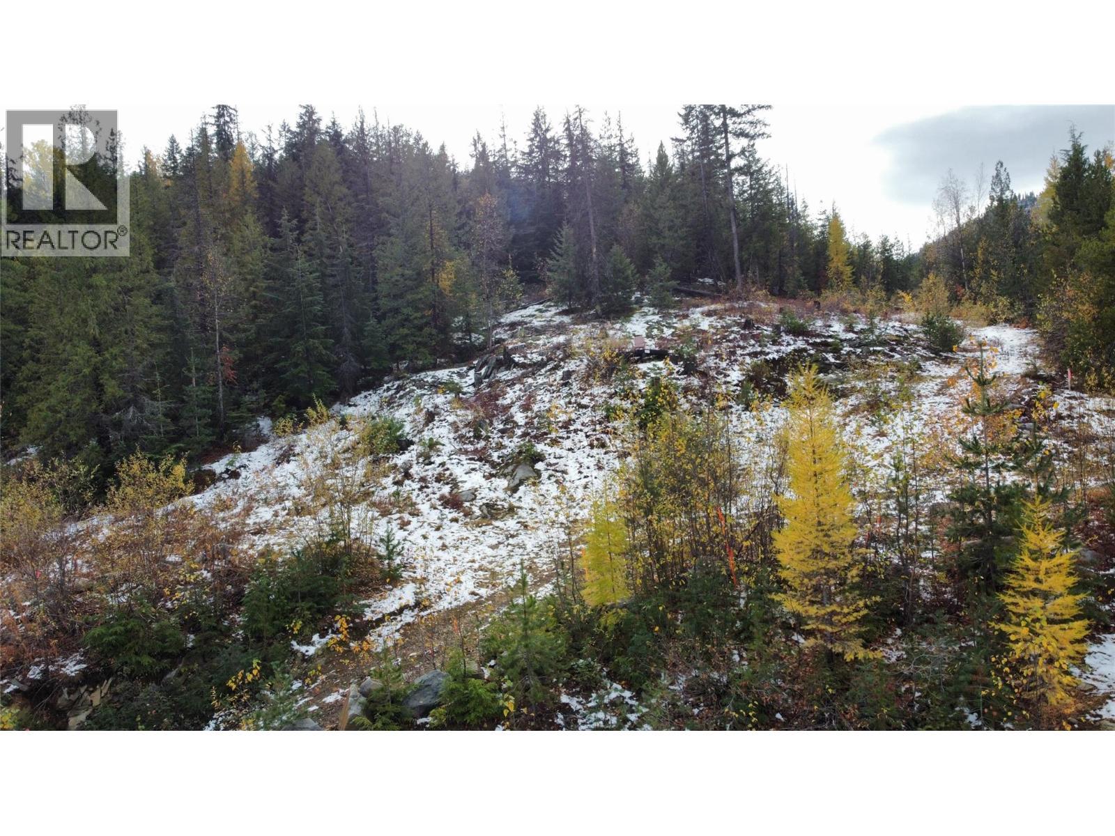 Lot C Richie Road, Rossland, BC