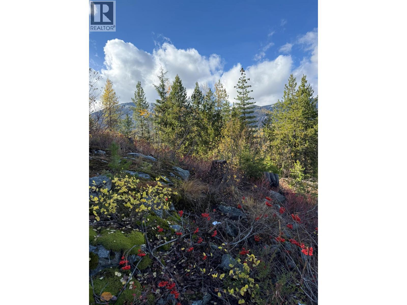 Lot C Richie Road, Rossland, BC