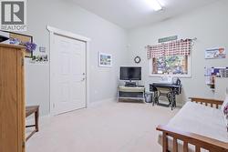 Lower Bedroom/Den with exit to lower patio -