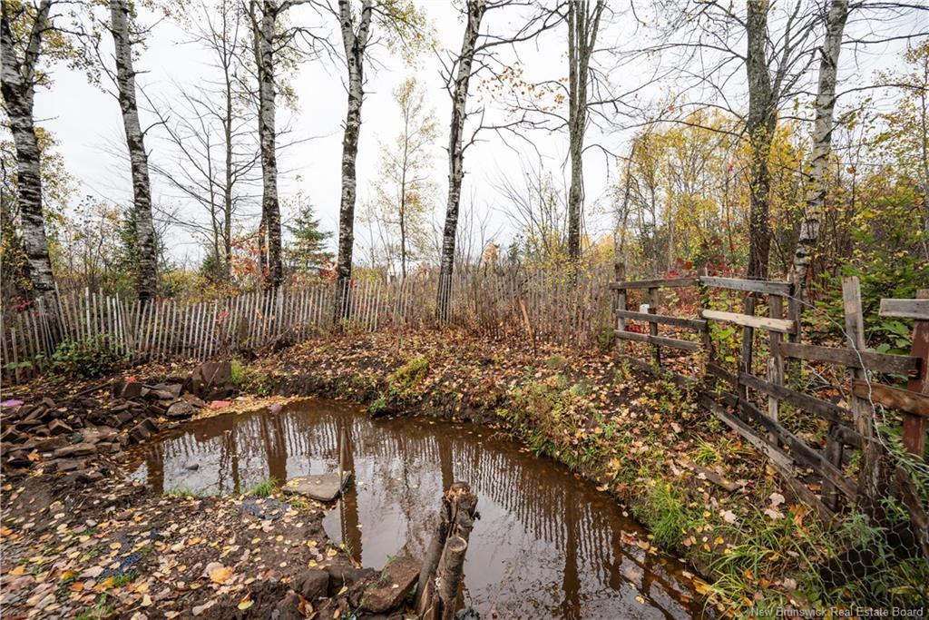 232 Route 905, Forest Glen, NB